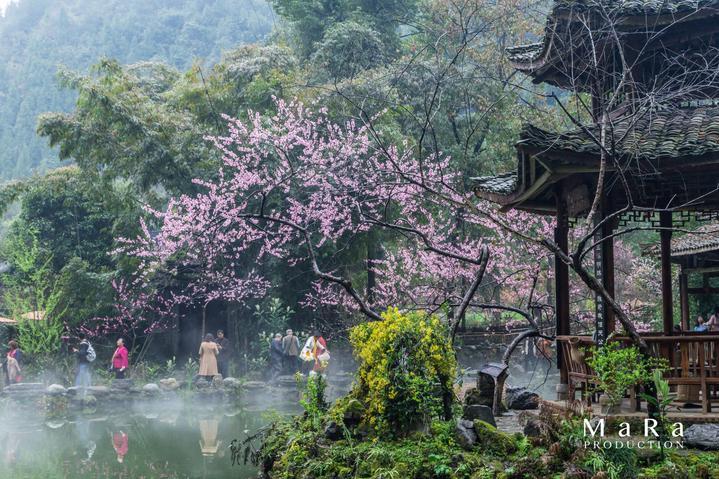 探索你迟到都有什么借口？，解答你的疑惑